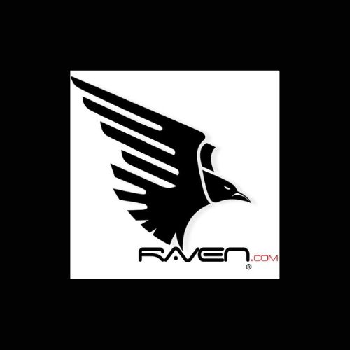Elevate Your Business with IT Network Support and Managed Services from Raven.net