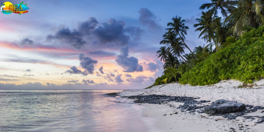 Beyond Boundaries: Exploring Goa's Coastal Charms and Historic Wonders