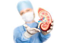 Kidney transplant in India