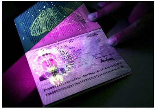 Fake Document Scams on the Dark Web: How to spot and Avoid Them