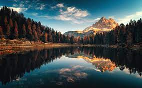 The Rich Diversity of Indian Trails: A Journey through Nature's Bounty