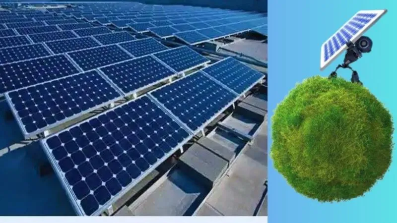 Exploring the Features of the XCV Panel: A Comprehensive Review