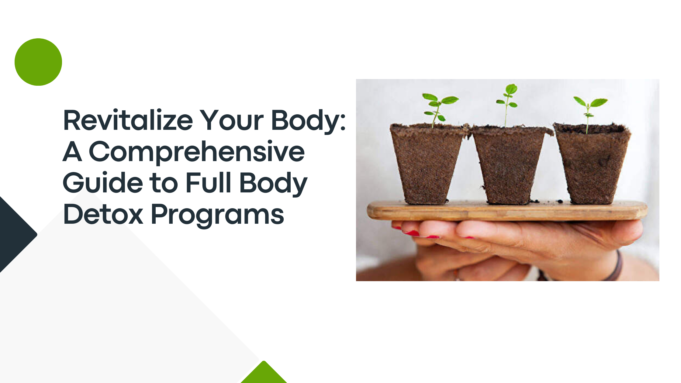 Revitalize Your Body: A Comprehensive Guide to Full Body Detox Programs
