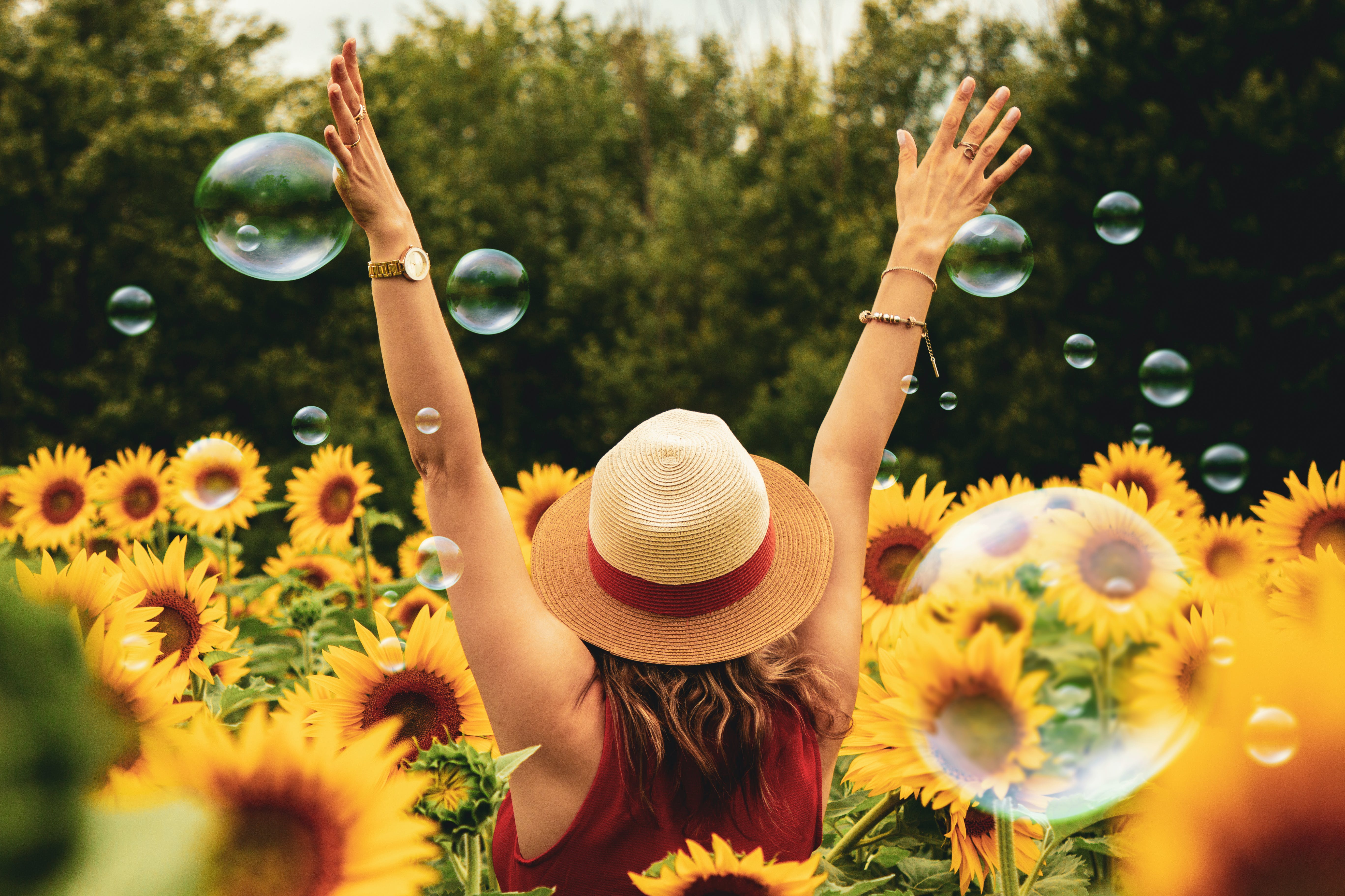 Scandinavian Summer Splendor: The Journey of a Lifetime
