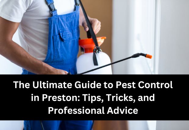 The Ultimate Guide to Pest Control in Preston: Tips, Tricks, and Professional Advice