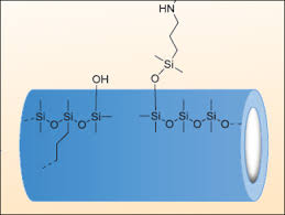 Antibacterial Coating Market | Growth & Trends | Industry Report, 2025