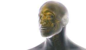Craniomaxillofacial (CMF) Devices/System Market Size, Growth, Industry Demand and Forecast, 2020–2026