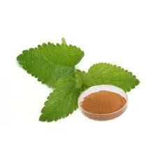 Lemon Balm Extract Market: Future Opportunities, Analysis & Outlook To 2026