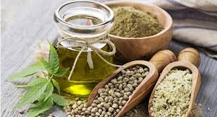 Hemp-Based Food Market Size, Growing Trends and Industry Demand 2019 to 2026