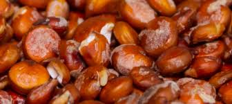 Quinoa Seed Extract Market Research Report: Global Industry Overview 2019 to 2026