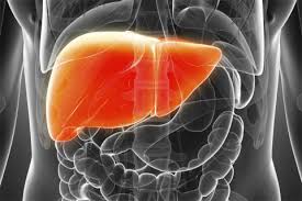 Liver Cancer Diagnostic Market: Future Opportunities, Analysis & Outlook To 2026