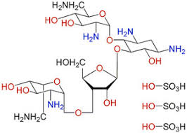 Neomycin Sulfate Market Size, Growth, Industry Demand and Forecast, 2020–2026