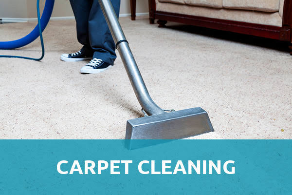 Reasonable Upholstery Cleaner Service in Lakeville