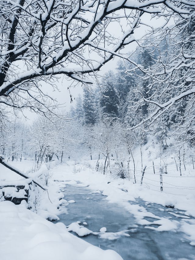 Discover the Best Months to Explore Kashmir's Himalayan Majesty