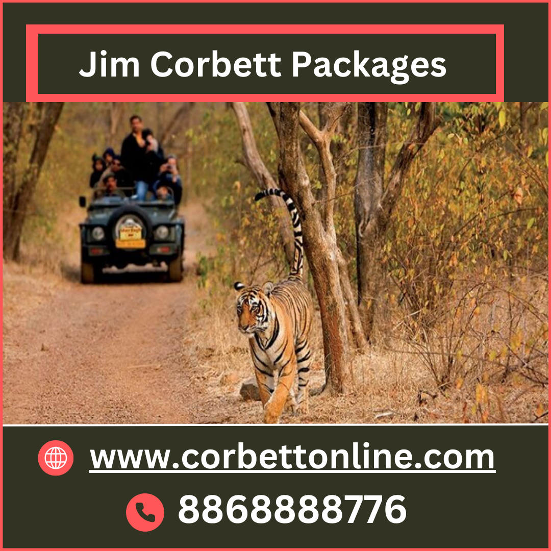 Jim Corbett Packages for Your delusion Adventure