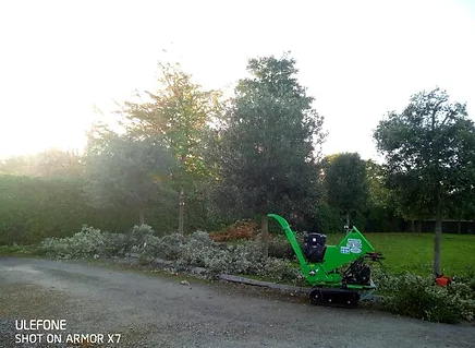 Sustainable Solutions: Exploring Wood Chipping Practices in Galway