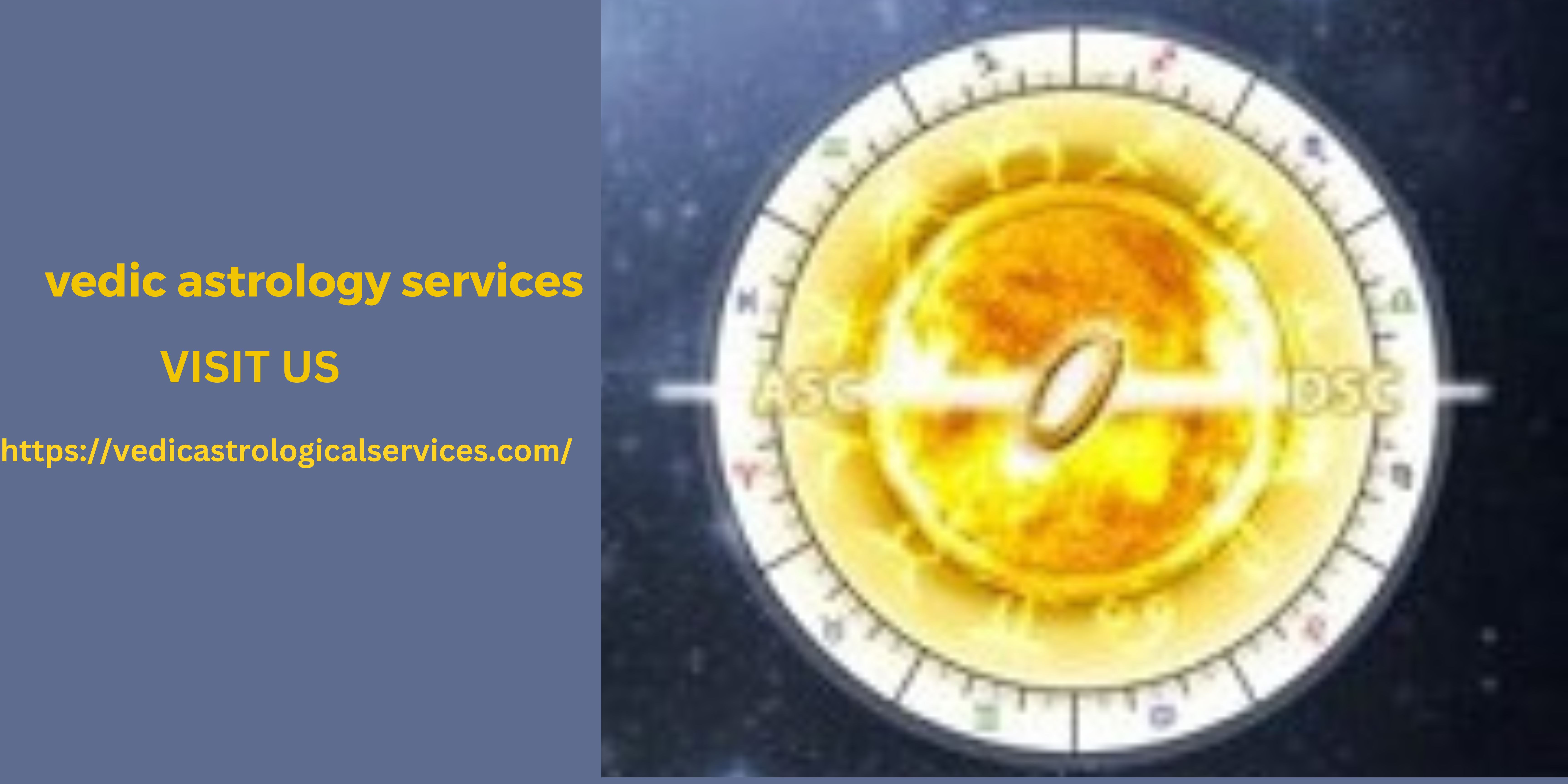 online vedic astrologer