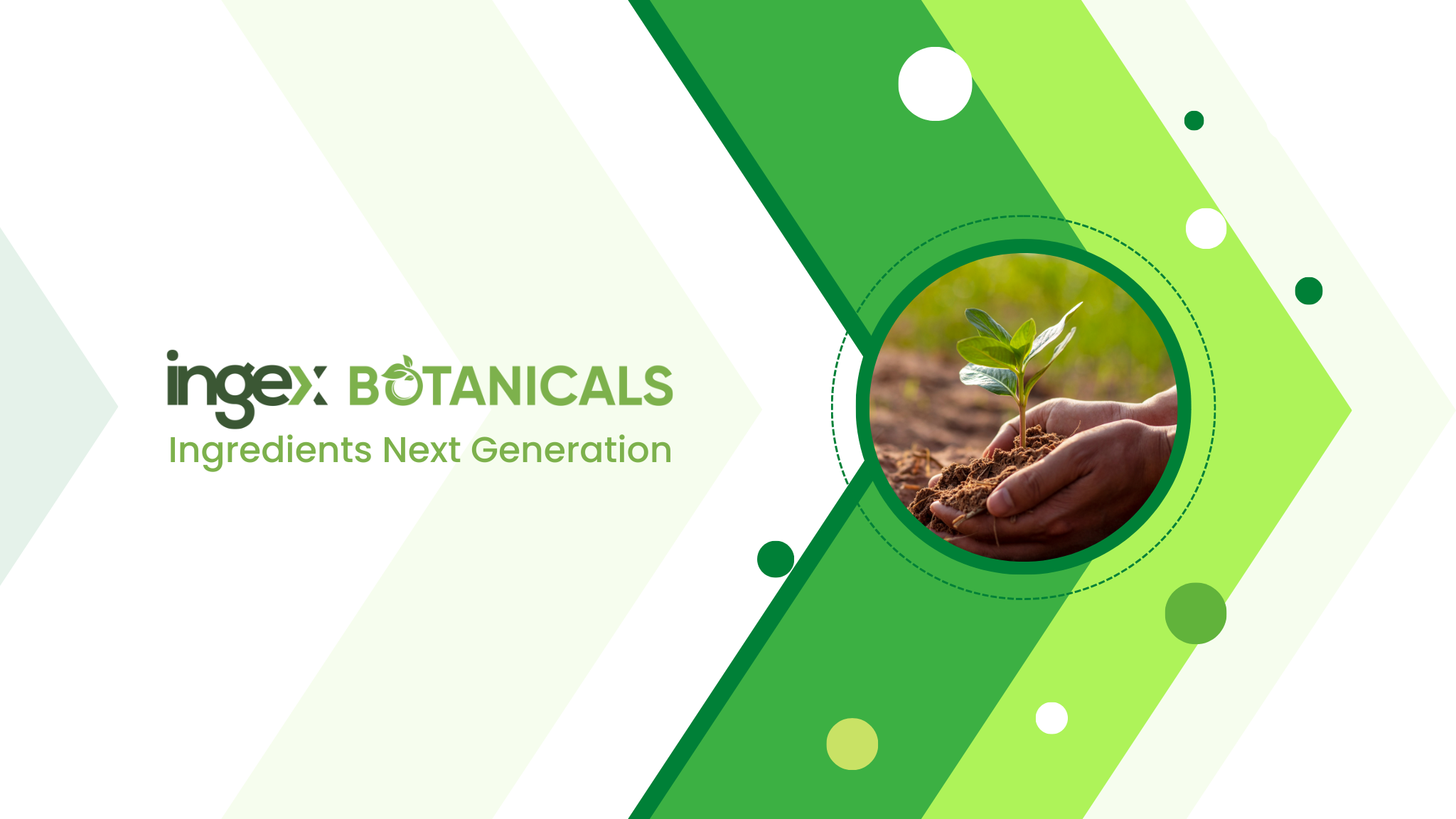 Ingex Botanicals - Natural Herbal Supplements & Extracts