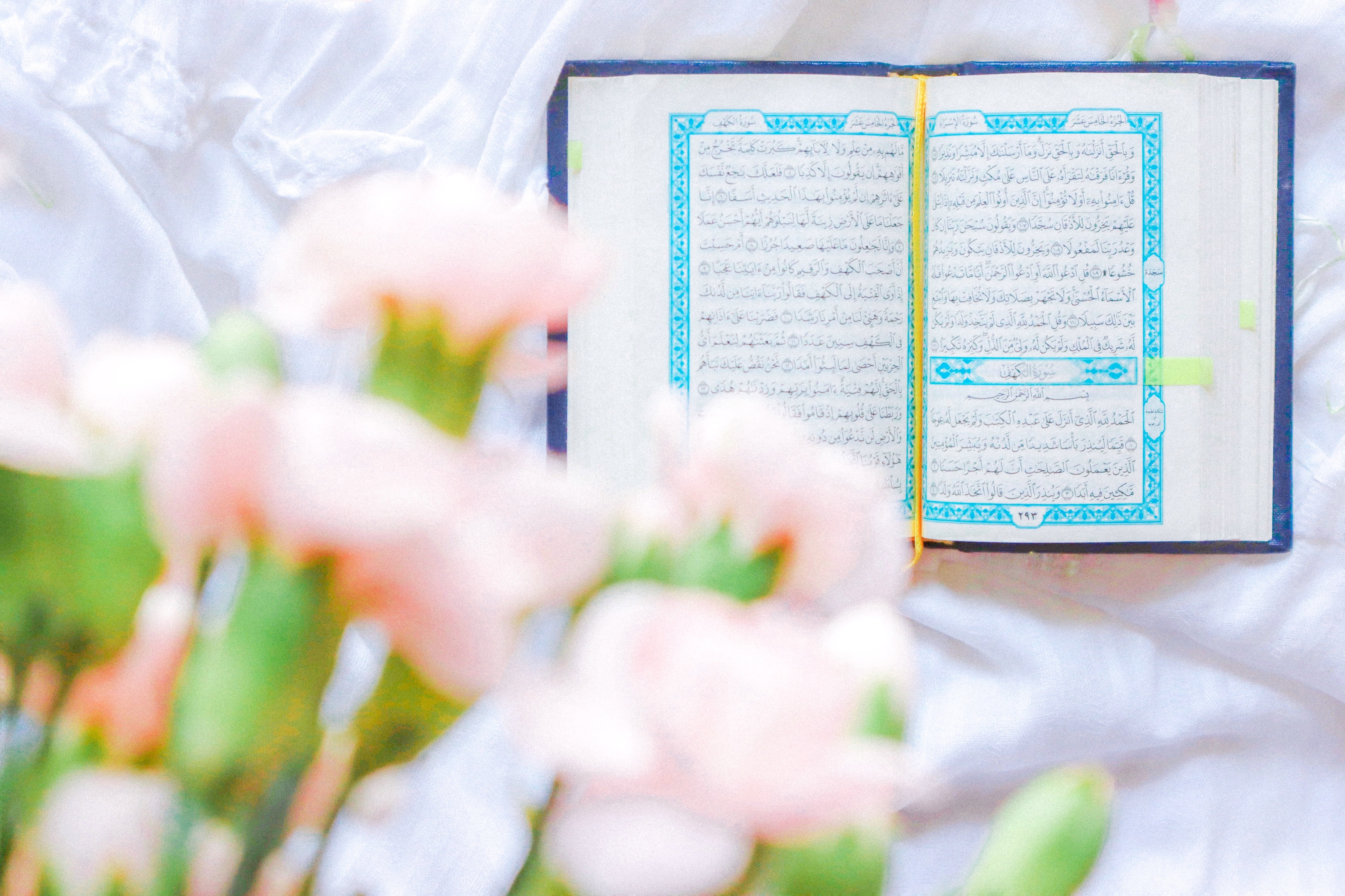 Accessibility Of Joining Online Quran Classes: A Brief Guide For Muslims