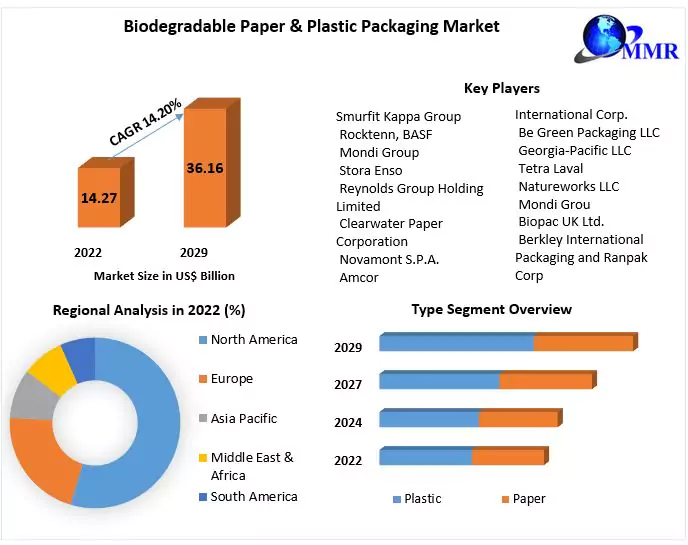 Biodegradable Paper & Plastic Packaging Market Eco-Friendly Packaging Solutions