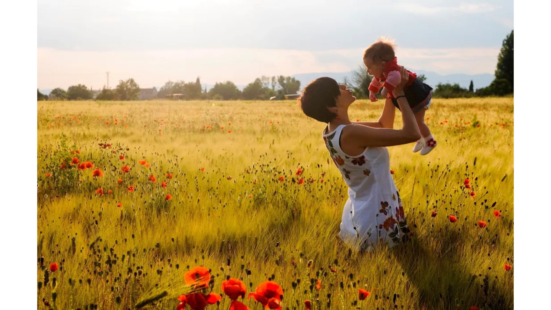 United Healthcare Mental Health Benefits: Accessing Therapy And Counseling Services