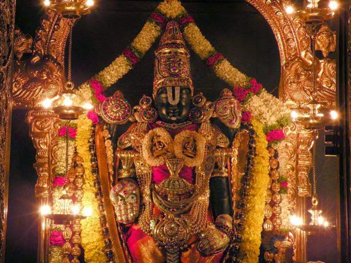 Padmavathi Travels - chennai to tirupati packages