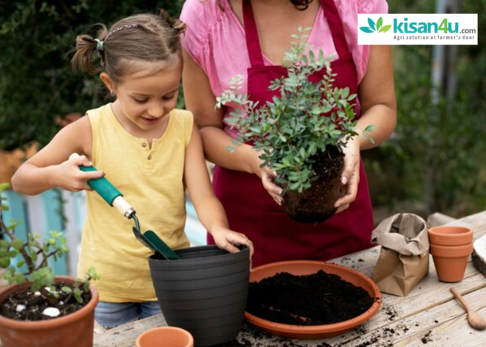 Organic Flower Fertilization Techniques: Tips and Tricks for Using Flower Booster Fertilizers Effectively