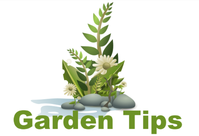 Gardentips