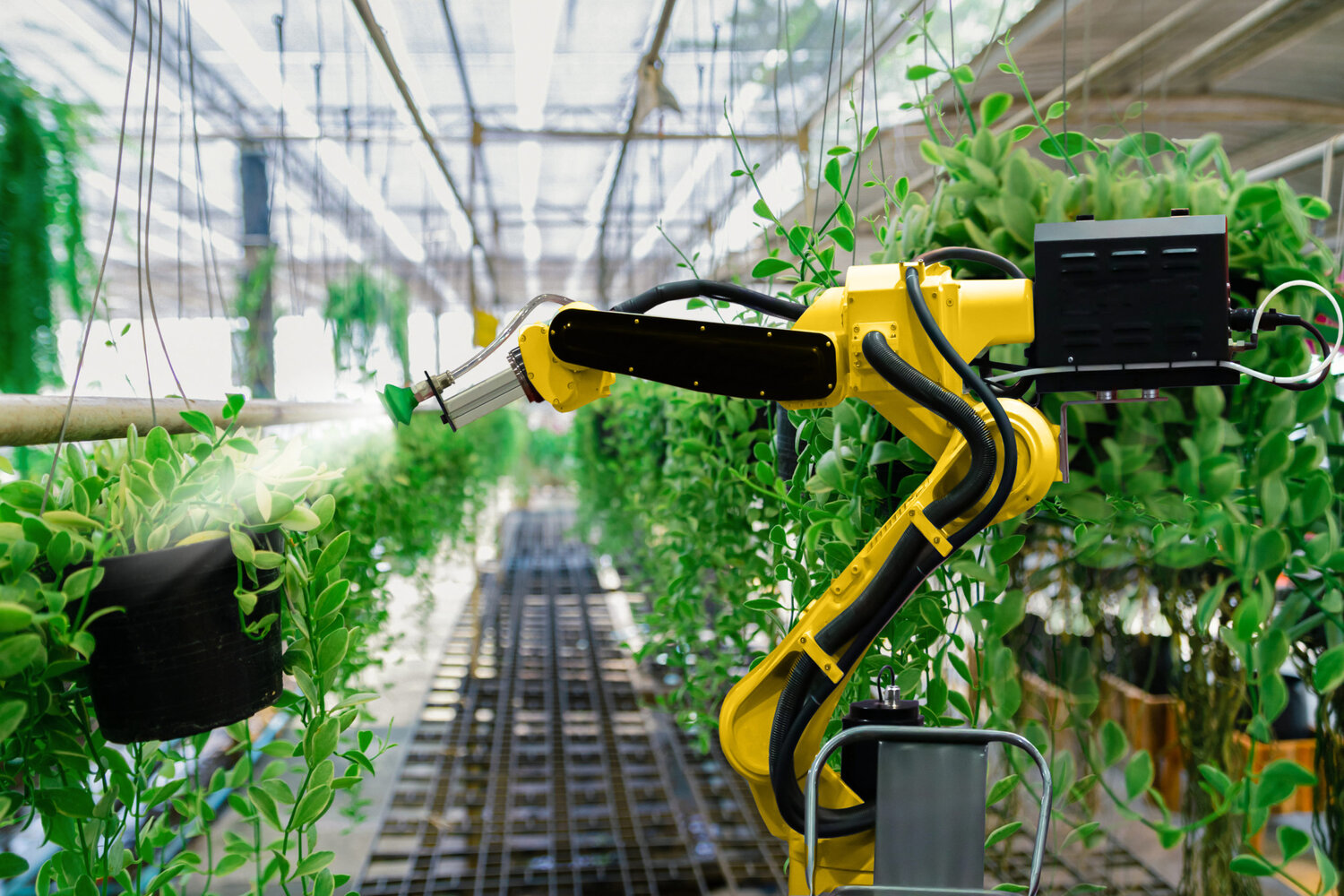 The global Fruit Picking Robots Market Growth Accelerated by Increased Automation Capabilities 