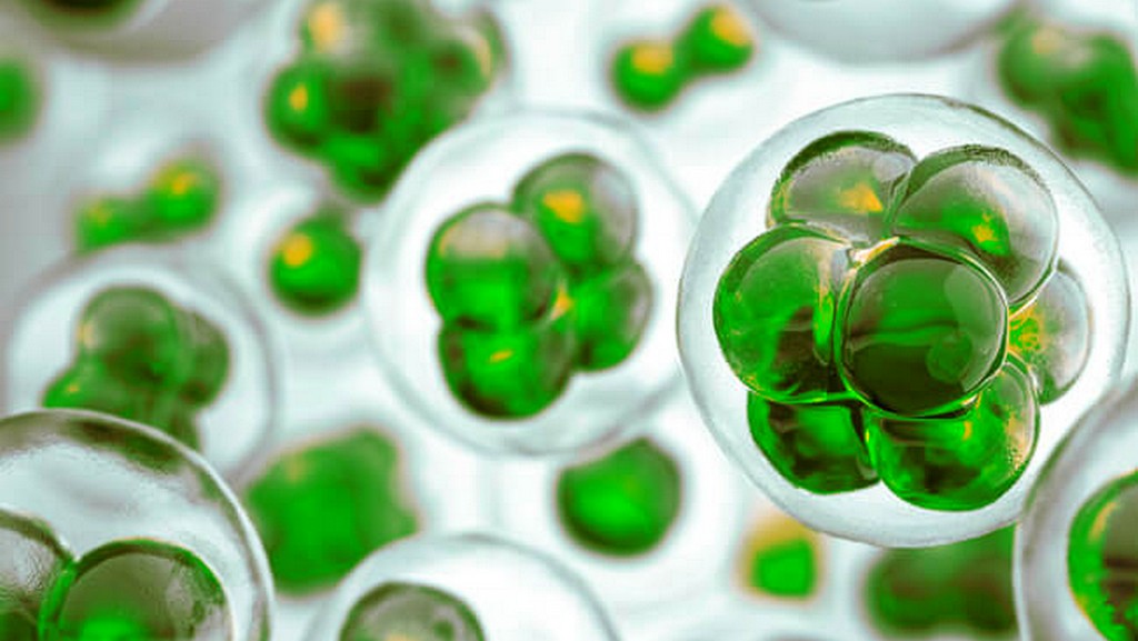   India Fluorinated Organic Compounds Market is Estimated to Witness High Growth Owing to Opportunity of Growing Industrial Sector   