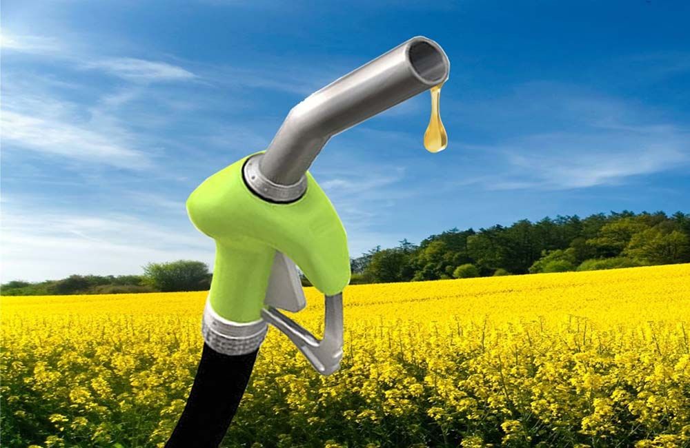 Global Biofuels Market : An In- Depth Analysis