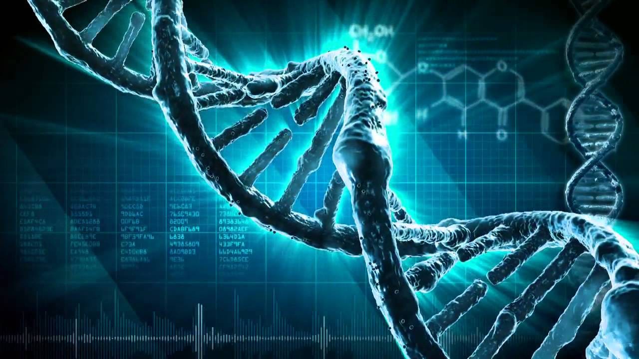 DNA Synthesizer Market: Transforming the Future of Genetic Research      