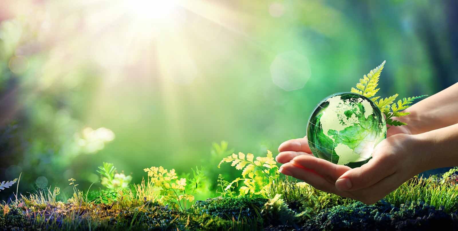 Green Technology And Sustainability Market is Estimated to Witness High Growth Owing to Need for Reducing Carbon Footprint