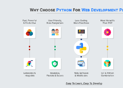 Top 10 Reasons Why to Choose Python Web Development Project