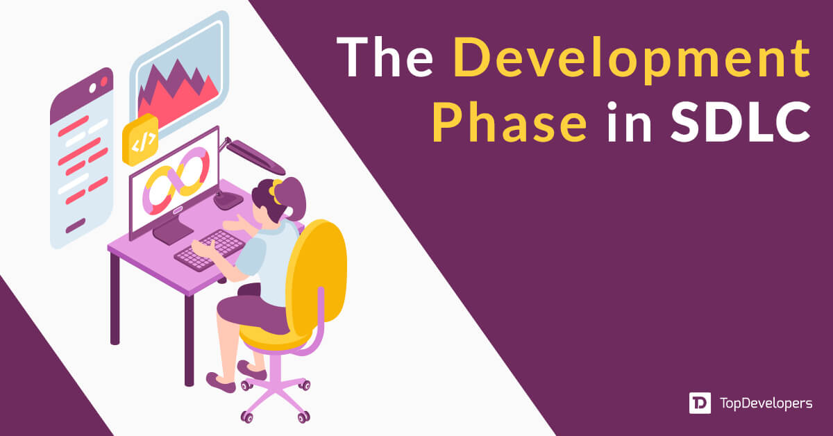 What is the Development Phase in SDLC Process?