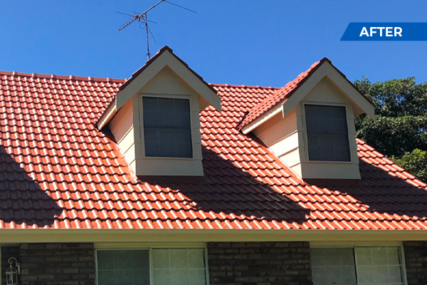 Do You Need a Special Roof Cleaning Service for Terracotta Glazed Tiles?