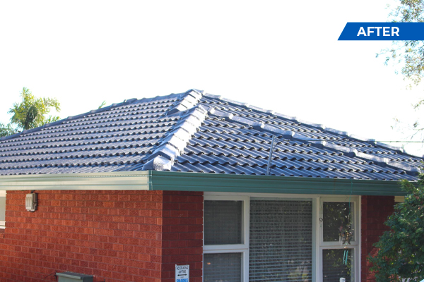 Why Is Terracotta Roof Cleaning Necessary?