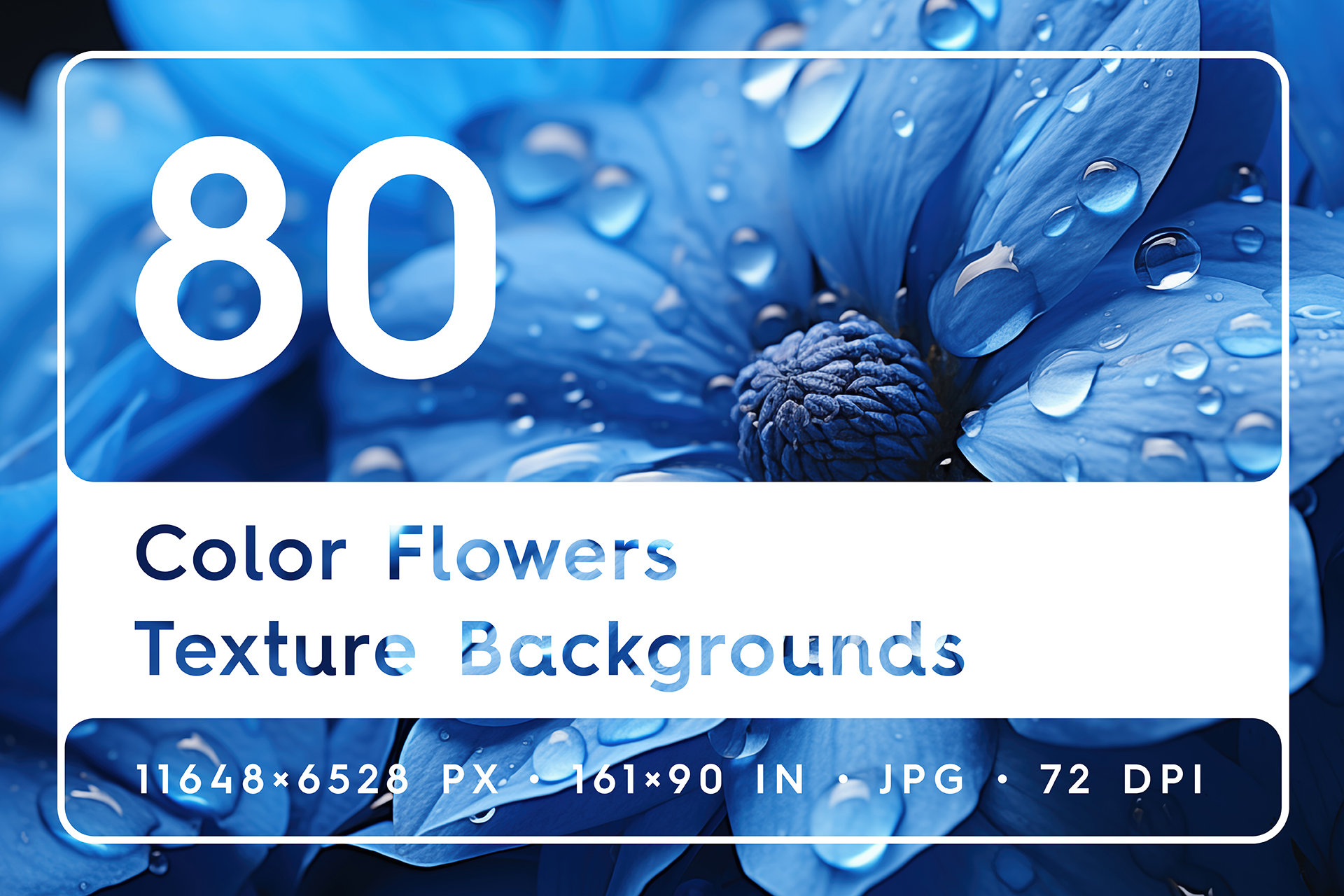 Transform Your Art with Stunning Color Flowers Backgrounds