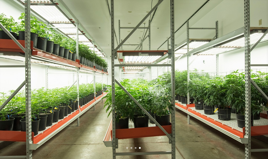 Hang and Dry: Exploring the Art of Efficient Drying with Innovative Drying Rack Designs