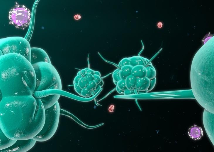 The Global Allergy Immunotherapy Market Growth Accelerated By Rising Prevalence Of Allergies