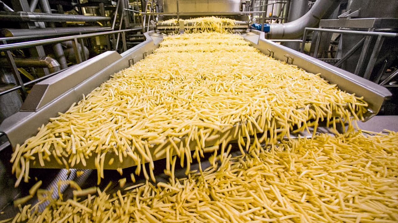 The Global French Fries Processing Machine Market Growth Accelerated By Increased Consumption Of Fast Food