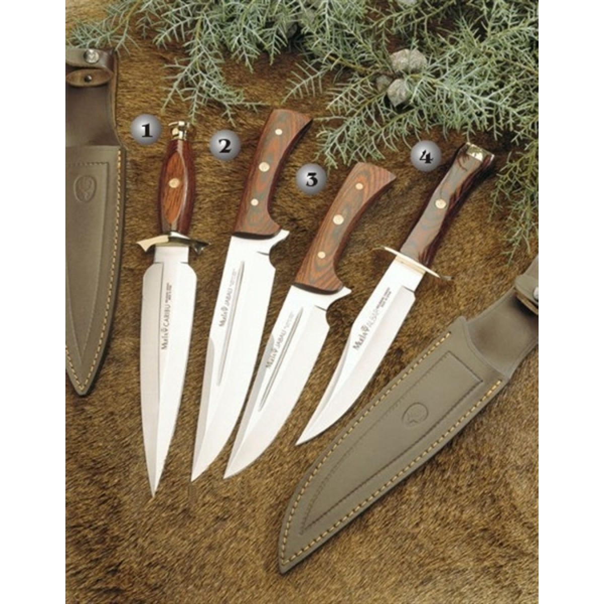 Knife Market Dominated By Household/Kitchen Segment