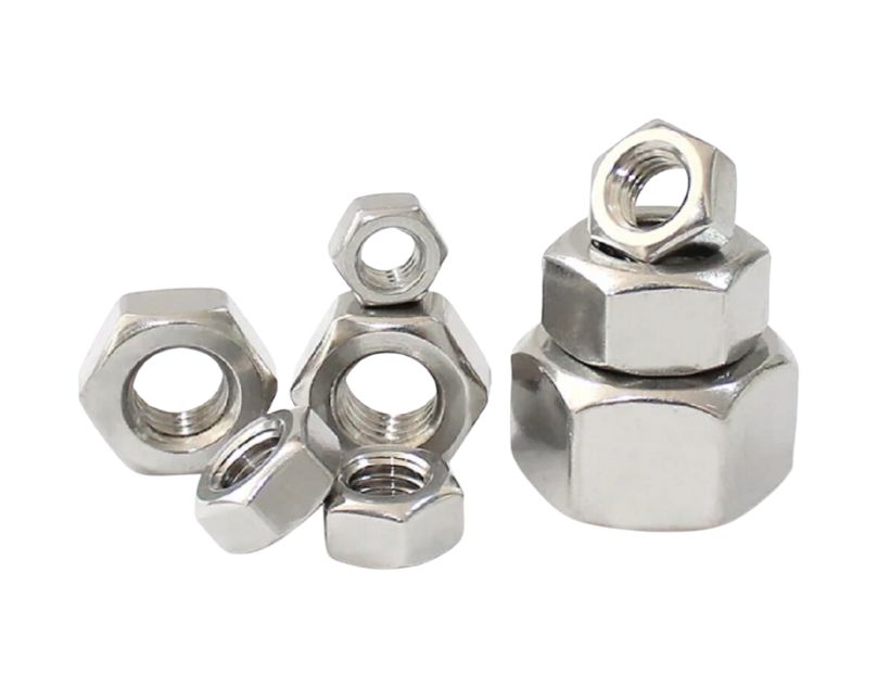 Learn About the Characteristics and Types of Nuts - Vardhaman Inc