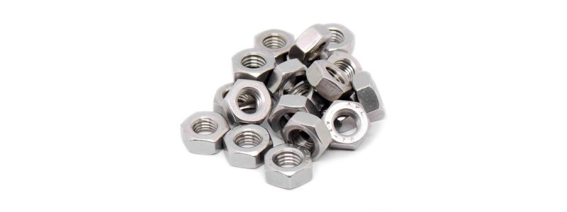 Learn About the Characteristics and Types of Nuts - Vardhaman Inc