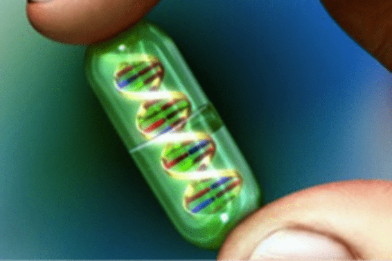 The global Personalized Genomics Market Growth Accelerated by Increasing Focus on Personalized Diagnosis and Treatment