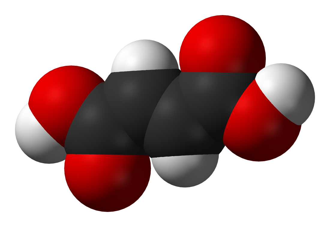 Fumaric Acid: An Essential Organic Acid Used in Various Industries