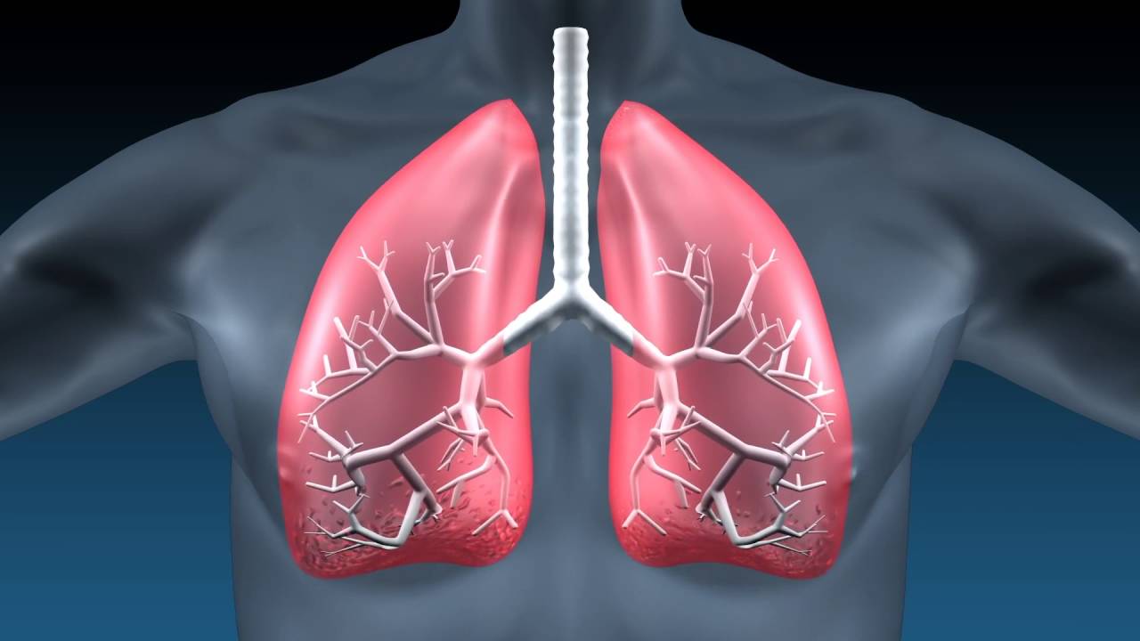 The Idiopathic Pulmonary Fibrosis Market is fuelled by Rise in Chronic Respiratory Diseases 