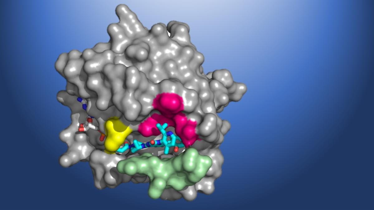 Global Kras Inhibitors Market: Size, Trends, and Strategic Outlook 2025-2032