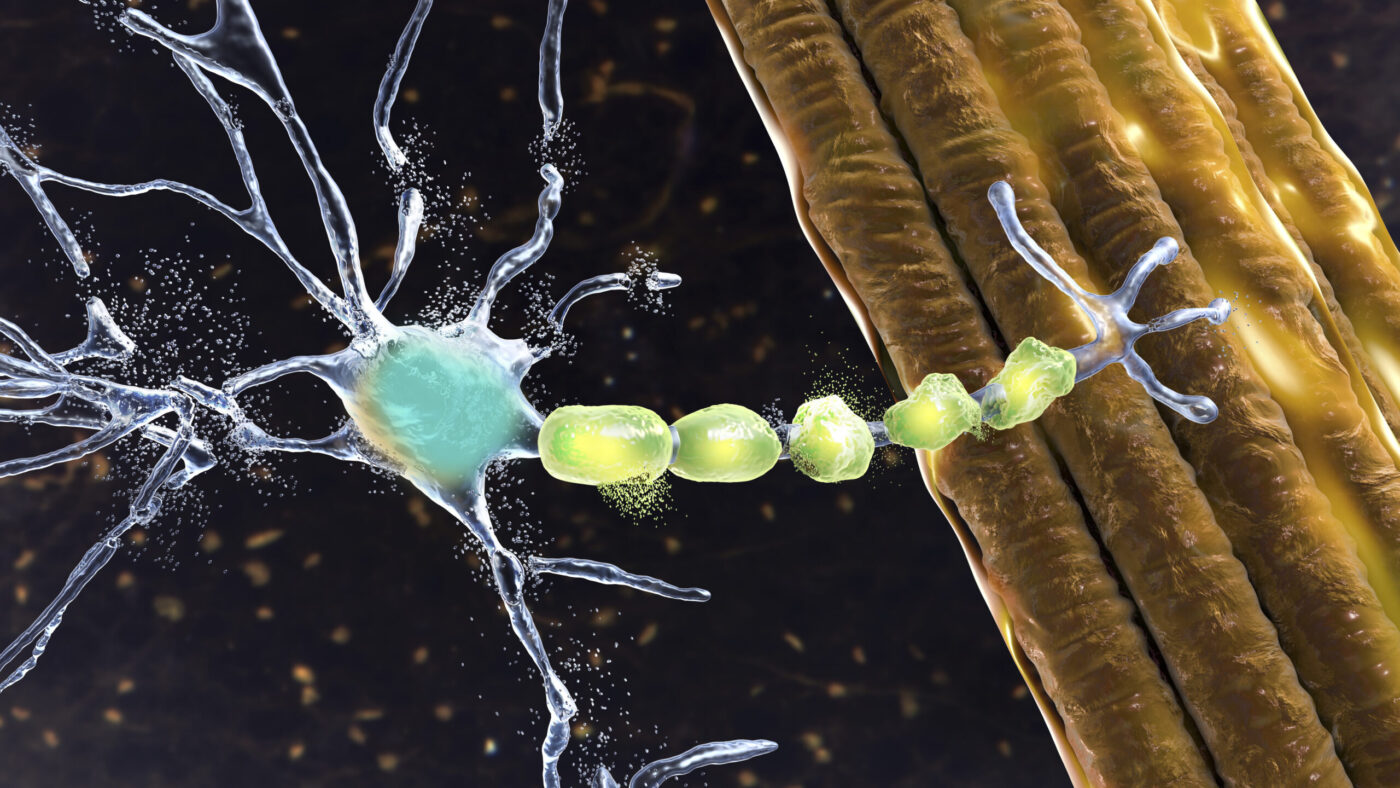 The Global Molecular Cytogenetics Market Growth Accelerated By Technological Advancements