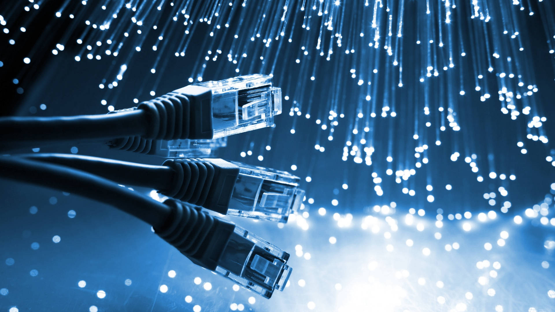 Building Cyber Resilience: Insights into the Growth of the Network Diode Market